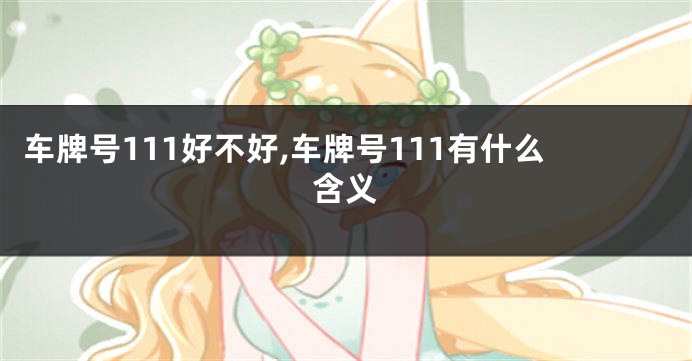 车牌号111好不好,车牌号111有什么含义