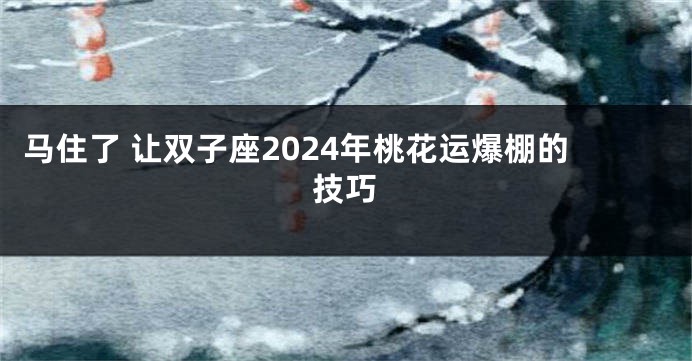 马住了 让双子座2024年桃花运爆棚的技巧