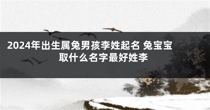 2024年出生属兔男孩李姓起名 兔宝宝取什么名字最好姓李
