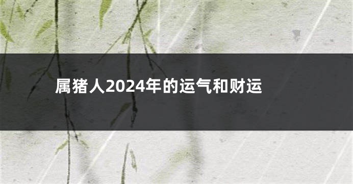 属猪人2024年的运气和财运