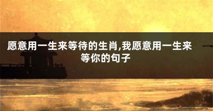 愿意用一生来等待的生肖,我愿意用一生来等你的句子