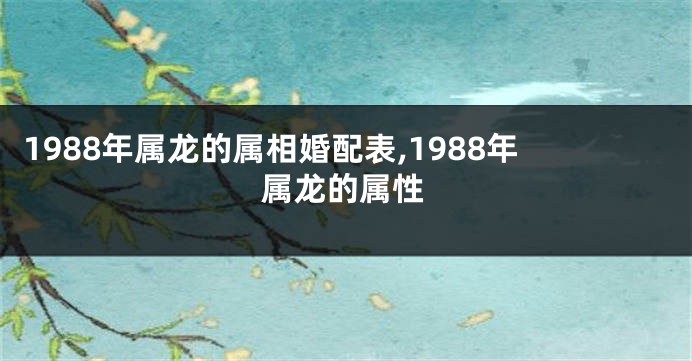 1988年属龙的属相婚配表,1988年属龙的属性