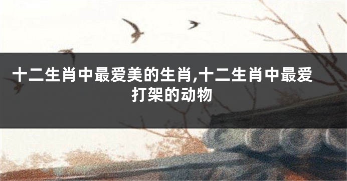 十二生肖中最爱美的生肖,十二生肖中最爱打架的动物