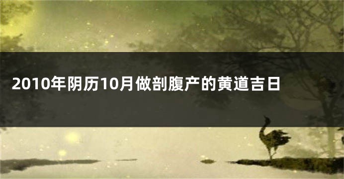 2010年阴历10月做剖腹产的黄道吉日