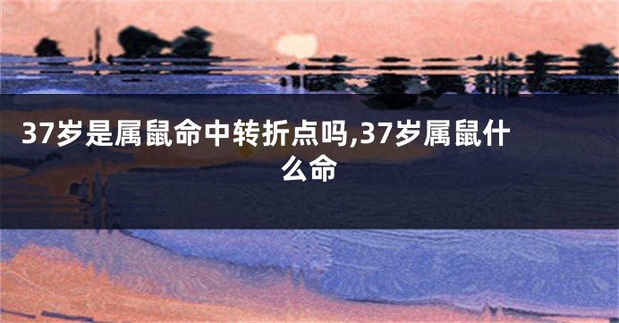 37岁是属鼠命中转折点吗,37岁属鼠什么命