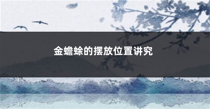 金蟾蜍的摆放位置讲究