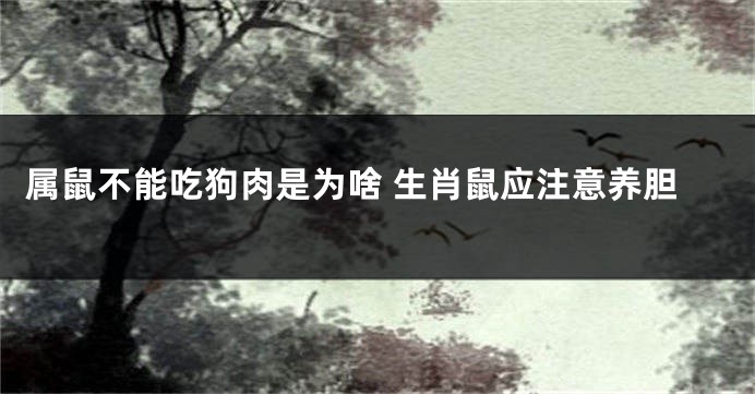 属鼠不能吃狗肉是为啥 生肖鼠应注意养胆