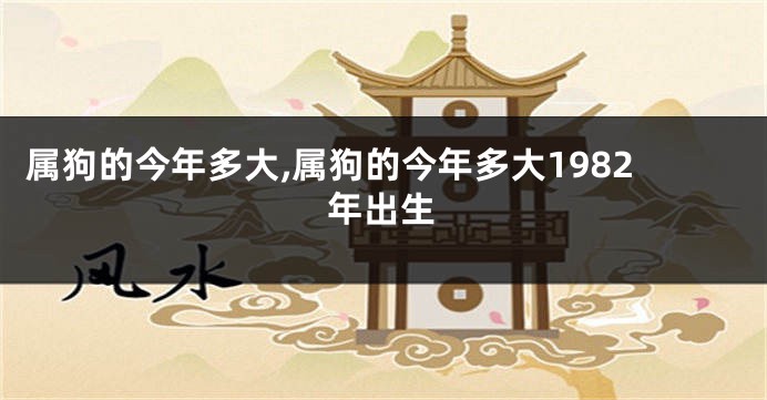 属狗的今年多大,属狗的今年多大1982年出生