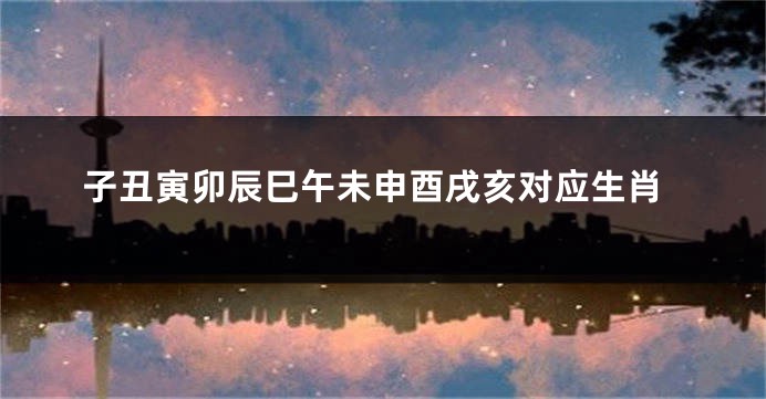子丑寅卯辰巳午未申酉戌亥对应生肖