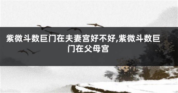 紫微斗数巨门在夫妻宫好不好,紫微斗数巨门在父母宫