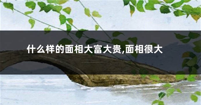 什么样的面相大富大贵,面相很大