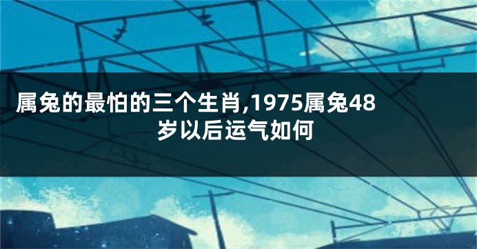 属兔的最怕的三个生肖,1975属兔48岁以后运气如何