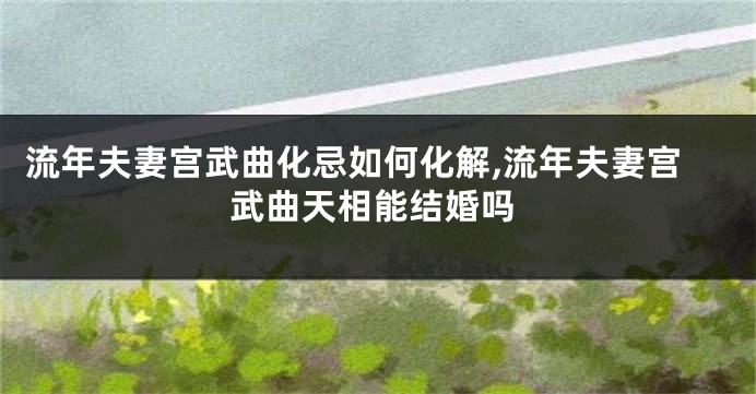 流年夫妻宫武曲化忌如何化解,流年夫妻宫武曲天相能结婚吗