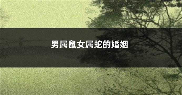 男属鼠女属蛇的婚姻