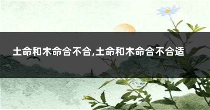 土命和木命合不合,土命和木命合不合适