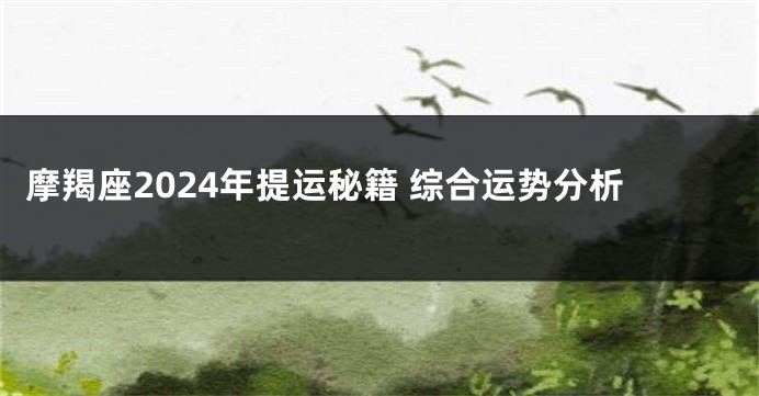 摩羯座2024年提运秘籍 综合运势分析