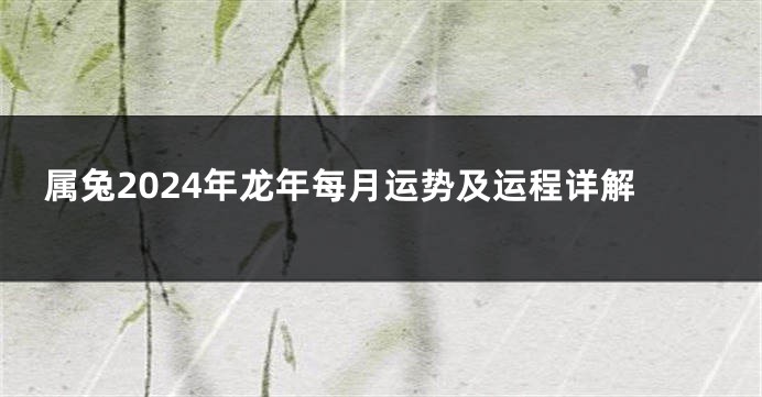 属兔2024年龙年每月运势及运程详解