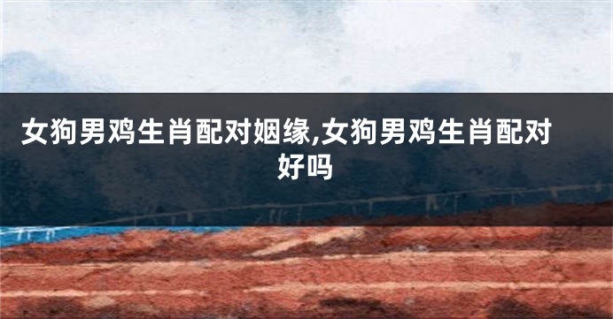 女狗男鸡生肖配对姻缘,女狗男鸡生肖配对好吗
