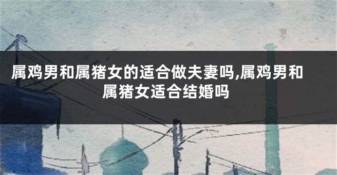 属鸡男和属猪女的适合做夫妻吗,属鸡男和属猪女适合结婚吗