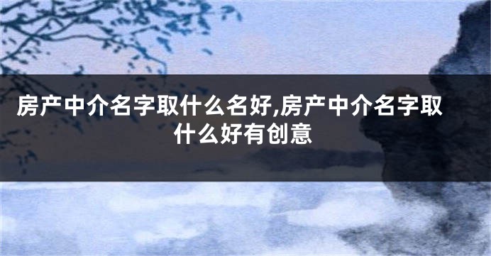 房产中介名字取什么名好,房产中介名字取什么好有创意