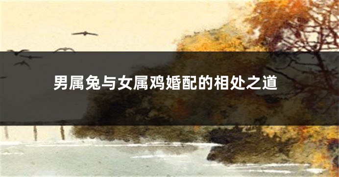 男属兔与女属鸡婚配的相处之道