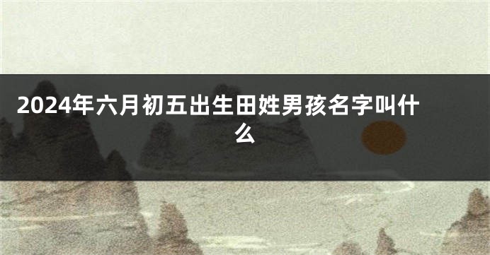 2024年六月初五出生田姓男孩名字叫什么