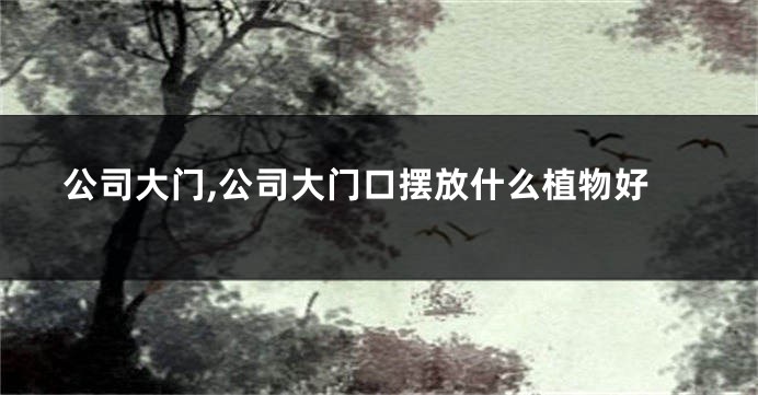 公司大门,公司大门口摆放什么植物好