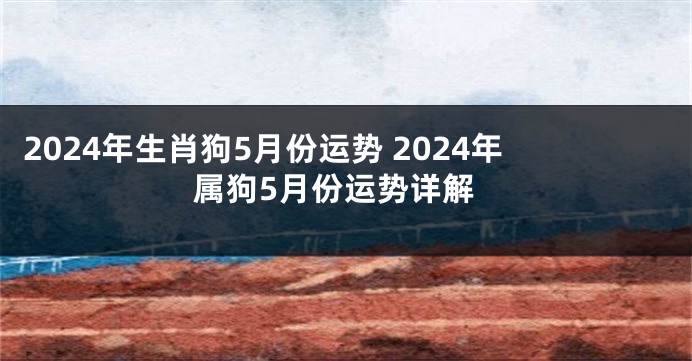 2024年生肖狗5月份运势 2024年属狗5月份运势详解