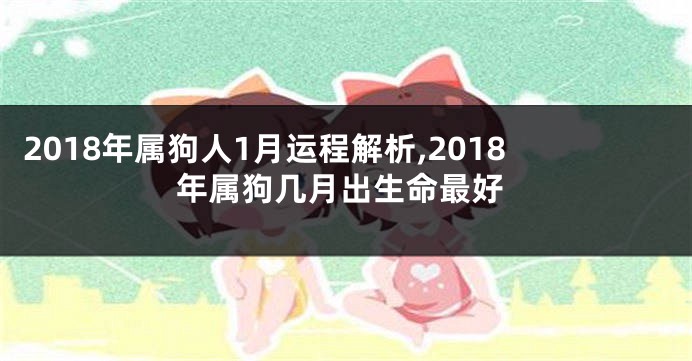 2018年属狗人1月运程解析,2018年属狗几月出生命最好