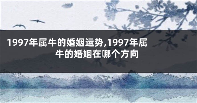 1997年属牛的婚姻运势,1997年属牛的婚姻在哪个方向