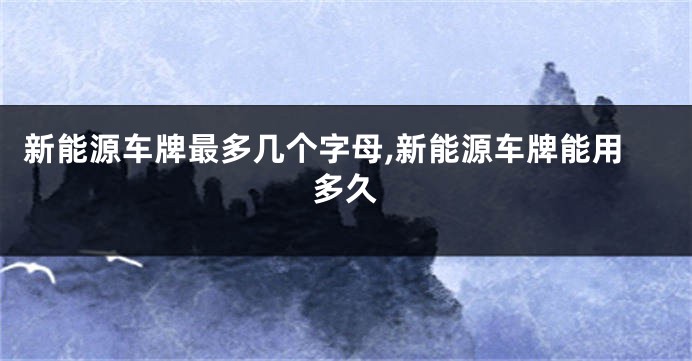 新能源车牌最多几个字母,新能源车牌能用多久