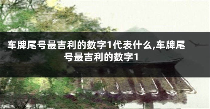 车牌尾号最吉利的数字1代表什么,车牌尾号最吉利的数字1