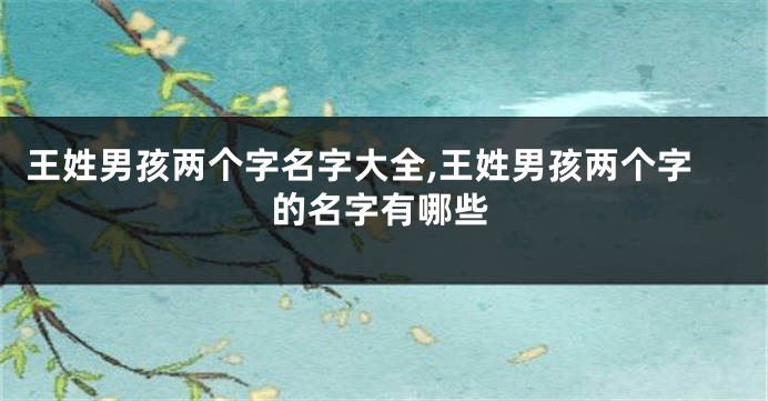 王姓男孩两个字名字大全,王姓男孩两个字的名字有哪些