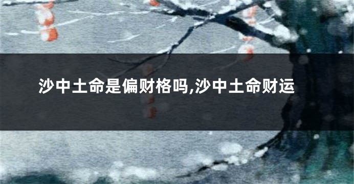 沙中土命是偏财格吗,沙中土命财运