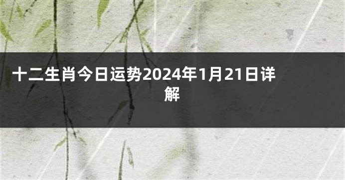 十二生肖今日运势2024年1月21日详解