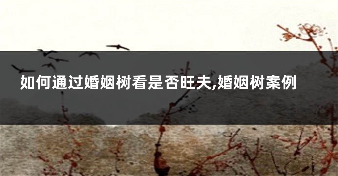 如何通过婚姻树看是否旺夫,婚姻树案例
