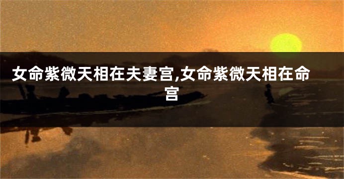 女命紫微天相在夫妻宫,女命紫微天相在命宫