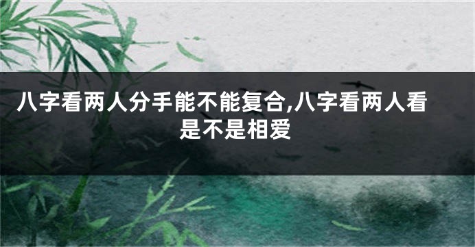 八字看两人分手能不能复合,八字看两人看是不是相爱