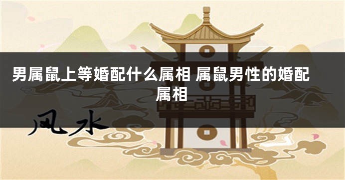 男属鼠上等婚配什么属相 属鼠男性的婚配属相