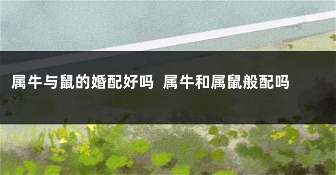 属牛与鼠的婚配好吗  属牛和属鼠般配吗