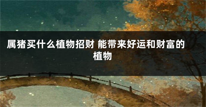属猪买什么植物招财 能带来好运和财富的植物