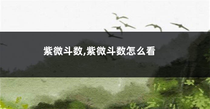 紫微斗数,紫微斗数怎么看