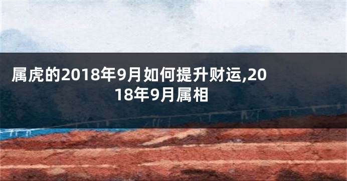 属虎的2018年9月如何提升财运,2018年9月属相