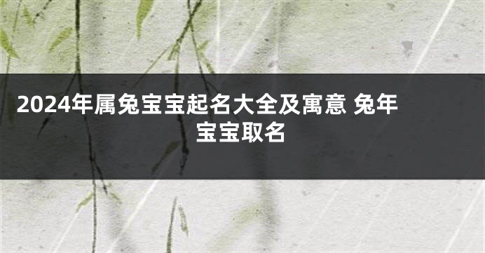 2024年属兔宝宝起名大全及寓意 兔年宝宝取名