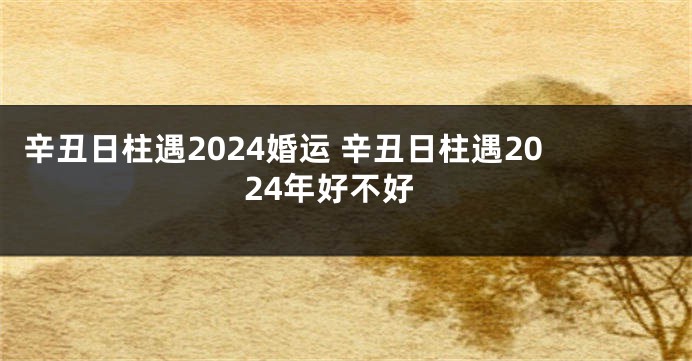 辛丑日柱遇2024婚运 辛丑日柱遇2024年好不好