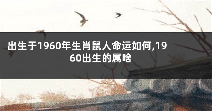 出生于1960年生肖鼠人命运如何,1960出生的属啥