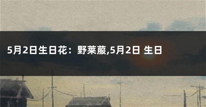 5月2日生日花：野莱菔,5月2日 生日