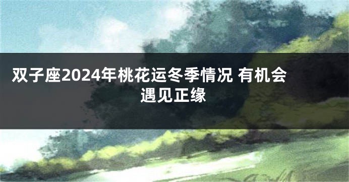 双子座2024年桃花运冬季情况 有机会遇见正缘
