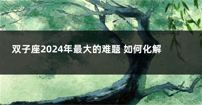 双子座2024年最大的难题 如何化解