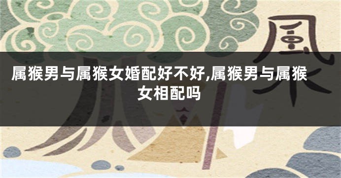 属猴男与属猴女婚配好不好,属猴男与属猴女相配吗